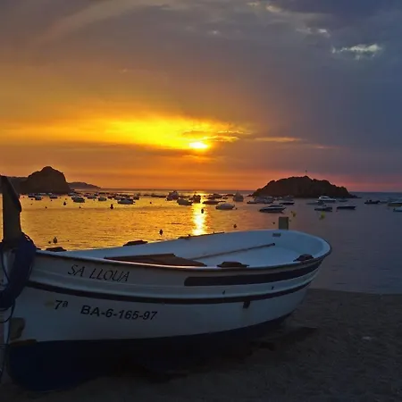 شقة Lets Holidays In The Old Town Tossa توسا ذي مار